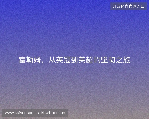 富勒姆，从英冠到英超的坚韧之旅